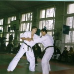 1998 karate 8
