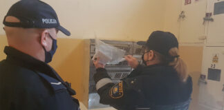 Na osiedlu będzie czysto, gdy po psie posprzątasz wszystko