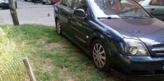 Parkowanie na zieleńcu