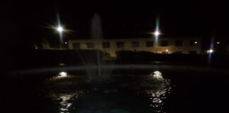 Park Sanguszków nocą