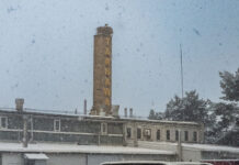 Giełdowa 22 „Bocian biały” został z nami na zimę