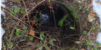 Konna dziura w zagajniku „wio…”