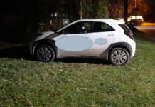 Pułaskiego Kazimierza „rehabilitacja…na NFZ…” na trawniku, oceniliśmy dobrze