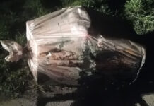 Harcerska podejrzany pakunek