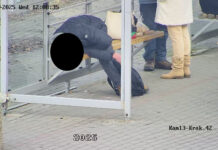 Krakowska na przystanku