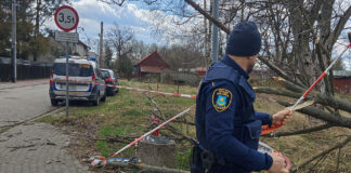 „Grunwaldzka” połamane konary nie musisz nie ryzykuj życiem i zdrowiem