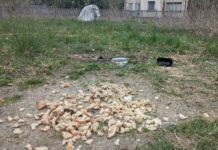 „Osiedle Zielone” 1 i mamy Cię „Biała dama”