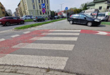 „Sitki Romana” z „Legionów”