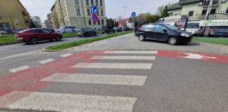 „Sitki Romana” z „Legionów”