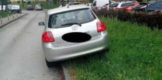 Pracy nie dokładaj na „zielono…”