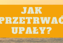 Jak przetrwać upały